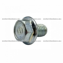 Tornillo M8x12 con Flange Tapa de Transmisión Motonetas Italika - Vento - Dinamo - Carabela