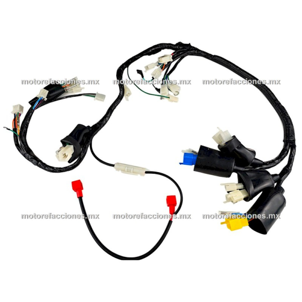 Arnes Completo - Vento Alpina 300 - CDI tipo DC