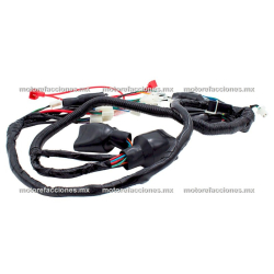 Arnes Completo - Vento Storm 300 - CDI tipo DC