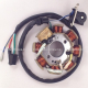 Estator AC 8 bobinas DS125 - DS150 - WS150 - GS150 - GTS175 - WS175 - CS125 - XS125
