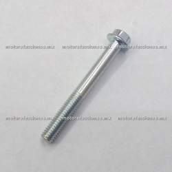 Tornillo Hexagonal 6x50