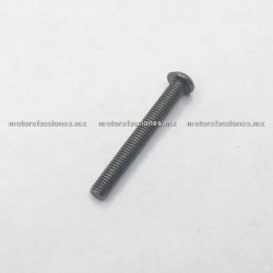 Tornillo Hexagonal 8x55