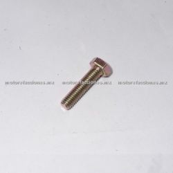 Tornillo Hexagonal 6x25 - Tornillo Pedal de Arranque Motonetas