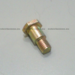 Tornillo para Porta Balatas de Motocicleta Italika FT125 / DM150 / 125Z / 150Z