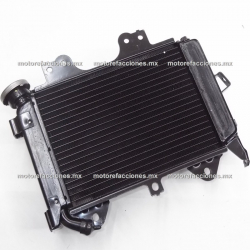 Radiador Completo Bajaj Pulsar NS200 / AS200 - ORIGINAL